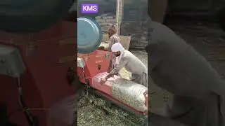 Mini silage Baler machine KMS Kissan Machinery Store #kms #silagebaler #feedmachinery #baler