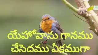 Yehovanu ganamu chesedamu Jesus Christ song prayer song bible song 