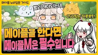 메이플을 한다면『메이플M』해야하는 이유 | 1분컷 일퀘루틴【메이플 넹찌】