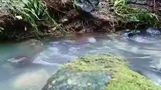 Soothing Relaxation Water Sounds | No Music Purest Water Sounds For Sleep 