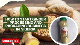 HOW TO START UP GINGER PROCESSING AND PACKAGING BUSINESS IN NIGERIA. (#businessideas #2025 #nigeria)