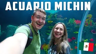 🐟ASI ES EL ACUARIO MÁS GRANDE de AMERICA LATINA | RUSOS VISITAN ACUARIO MICHIN en CIUDAD DE MÉXICO