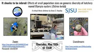 Anna Heasley: It Shucks to be Inbred: Effects of Small Population Sizes on Genomic Diversity of ...