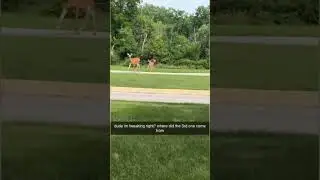 Glitch in the matrix- deer teleport