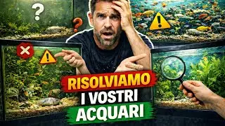 Risolviamo i vostri acquari