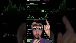 #taketwo stock will blow this year #gta6 #rockstar #stocks #trading