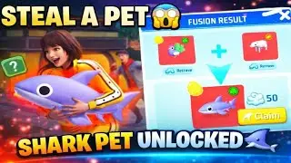 Steel a pet new Update egg fusion result 😱🦈#freefire #glitch #steelapet 