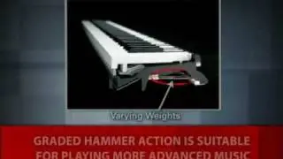 Mastery of Feel - Graded Hammer Action
