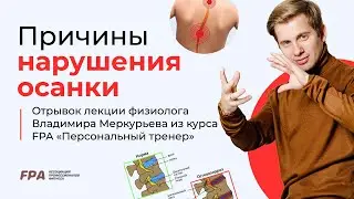 Причины и степени нарушения осанки | Владимир Меркурьев (FPA)