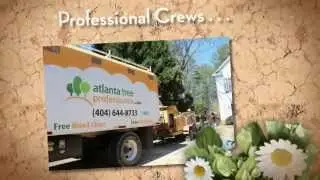 Tree Trimming Kennesaw GA - Call the Tree Service Team at Atlanta Tree Professionals
