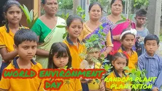 World environment day celebration 2022 || 5 June देखिए मेने केसे बिताया ऊहा पे || all about 24 green