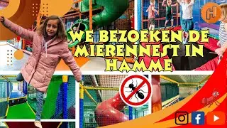 #70 We bezoeken de Mierennest in Hamme 14/01/2024
