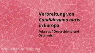 Verbreitung von Candidozyma auris in Europa mit Fokus auf Deutschland und Österreich – ECDC-Report