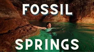 Swim at Fossil Springs: Hiking the Bob Bear Trail