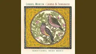 The Old Blackbird / Kilcooley Wood