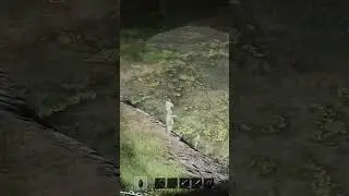 How to farm multiple fish in HumanitZ #humanitz #zombiesurvival