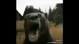 You laugh you lose