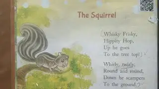 The squirrel  poem class 1 and 2