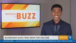 Budweiser gives free beer for vaccine - Brooks with the Buzz