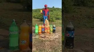 Mentos vs coke , pepsi , sprite , thumps up , fanta , marinda and 7up
