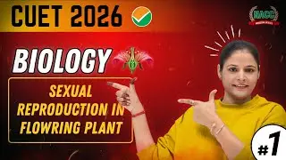 CUET 2026 Biology | Sexual Reproduction in Flowering Plants | Part - 1