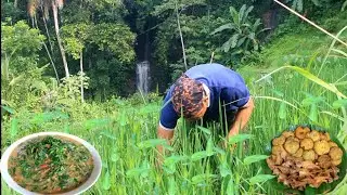 Tumbuhan sawah petik di deket curug lembarang untuk dimasak bumbu gecok dengan srapahan beweh