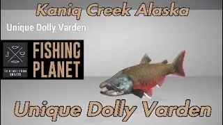 Unique Dolly Varden - Kaniq Creek Alaska - Fishing Planet Guide