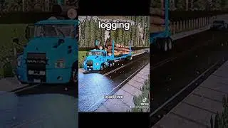 just some logging on fs 22