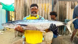 KASIMEDU CHEETAH DURAI 😱😨🤯FISHCUTTING VIDEO | MSFISHCUTTINGZ 🇮🇳
