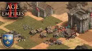 AOE2 DE: Ranked 1v1: Sometimes all in Castle Age is the way