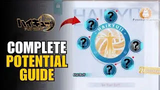 POTENTIAL GUIDE - HAIKYU!! FLY HIGH