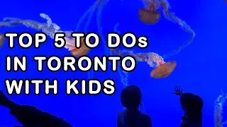 Top 5 Things To Do In Toronto With Kids