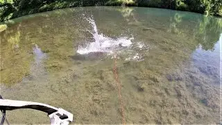 Bowfishing HUGE Buffalo Fish During a HEATWAVE!*(Native Species Catch and Cook Pt.1)*