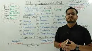 Clotting Of Blood ll Coagulation l Clotting Factors l Enzyme Cascade Theory For Clotting 🫟 #neet2026