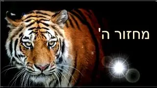 סרטון פתיחה - מכינת 
