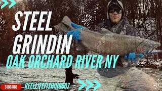 STEEL GRINDIN! Oak Orchard River, NY! Winter STEELHEAD!
