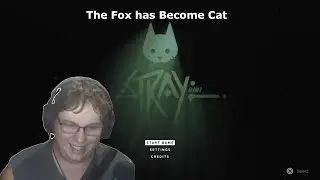 The Fox has Become Cat (Stray)