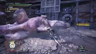 Monster Hunter World Solo Special Arena: Anjanath