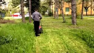 HONDA HRD 536 test - Scuola .form