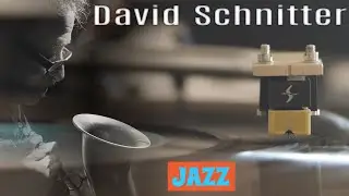 David Schnitter ✧ Fat Face Fenner's Saloon ✧ Vinyl 💿