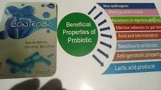 Natural defense intestinal, Microflora . Probiotics use in pigeon 🐦