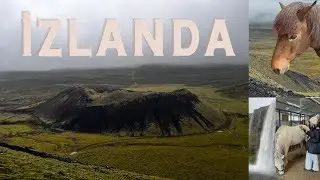 İzlanda B11