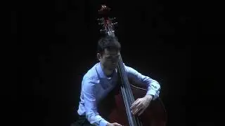Rebecca Saunders, Fury for double bass solo