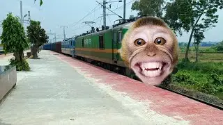 Dangerous Monkey Headed Twins Wag9+Wag7 Lead Freight Train Furious Skipped At Balarambati Station