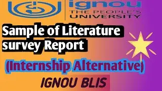 Internship Alternative Report Sample| internship alternative report| literature survey Report #blis