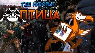 НЕ ДЛЯ ИГРОКОВ о коллабе ДОДО и  Honkai Star rail