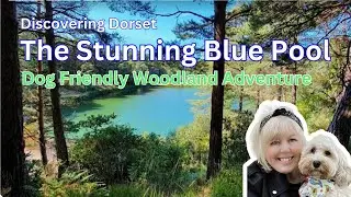 'THE BLUE POOL Wareham, Dorset Adventure. Perfect dog-friendly destination
