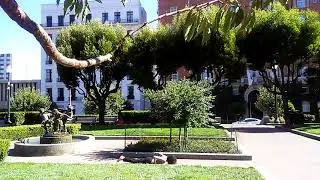 Outdoor Yoga in San Francisco