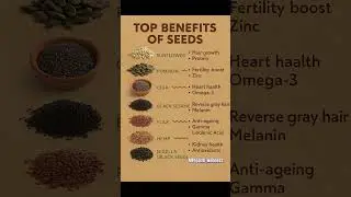 Sunflower seeds 🌻 Hair growth Protein Vitamin E Pumpkin seeds 🎃 Fertility boost Zinc Chia