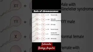 #chromosome #biology